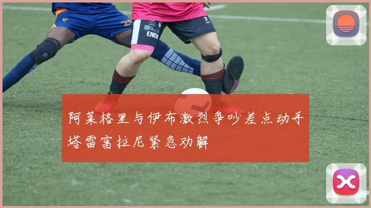 阿莱格里与伊布激烈争吵差点动手塔雷富拉尼紧急劝解